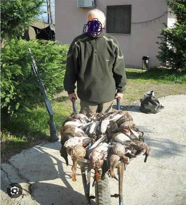 sengendo joseph3 tweet media