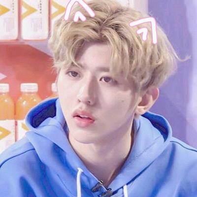 Tetsukichi,,,ofronie,,Aquario