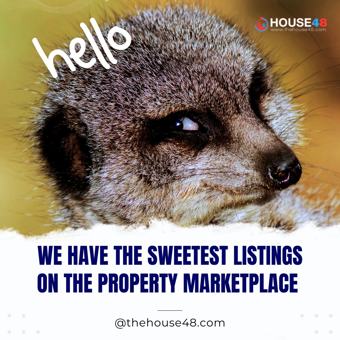 Thehouse48_hub's tweet photo. Say hello π to the sweetest property deals youβll ever find! π‘β¨ Explore listings that make finding your dream home feel this good. π
#TheHouse48 #PropertyMarketplace #DreamHomeVibes #SweetDeals #HomeGoals #HouseHuntingMadeEasy #FindYourSpace #PropertyListings #RealEstateMade https://t.co/q9RXAE3kVL