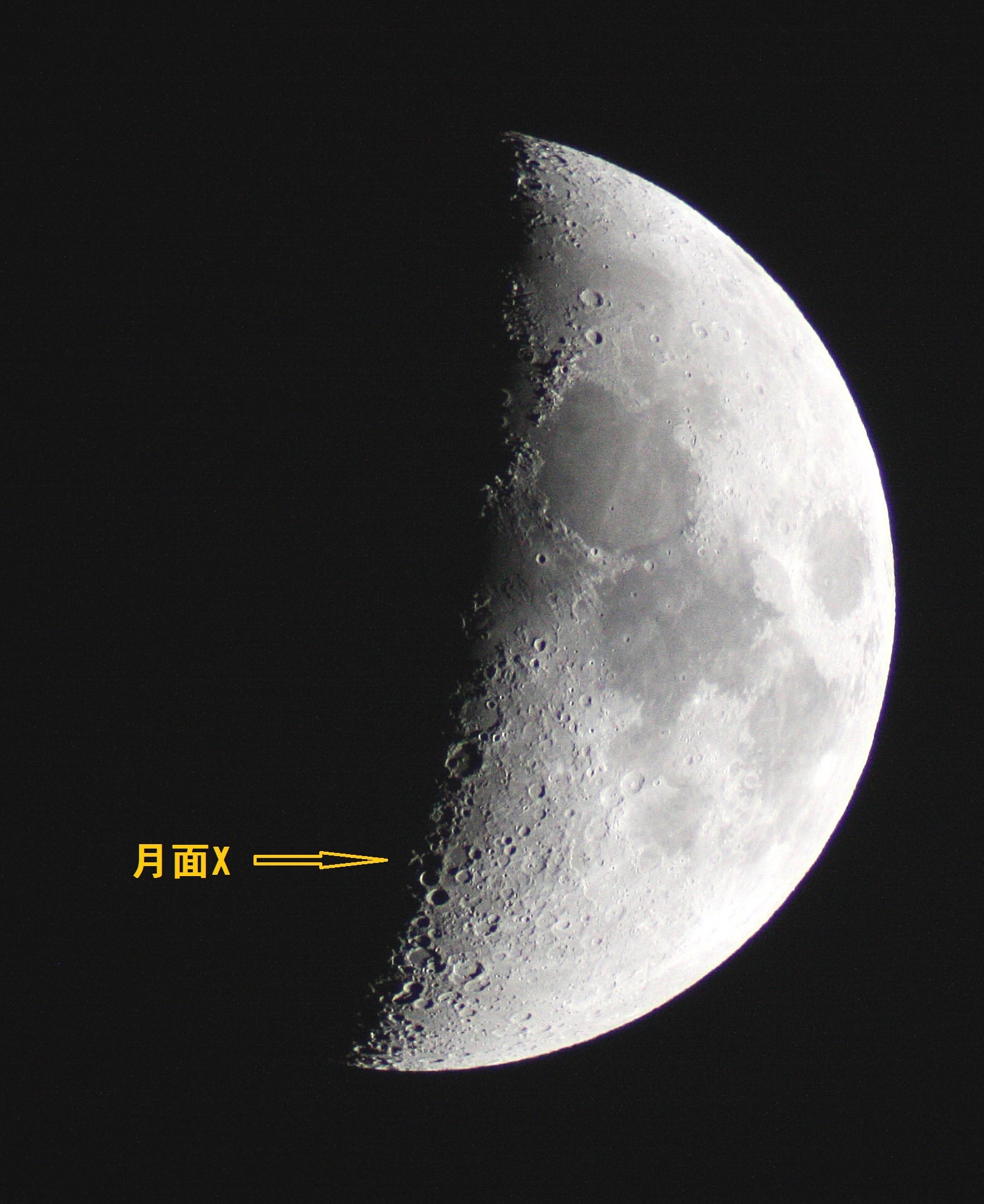 月面X - Search / X