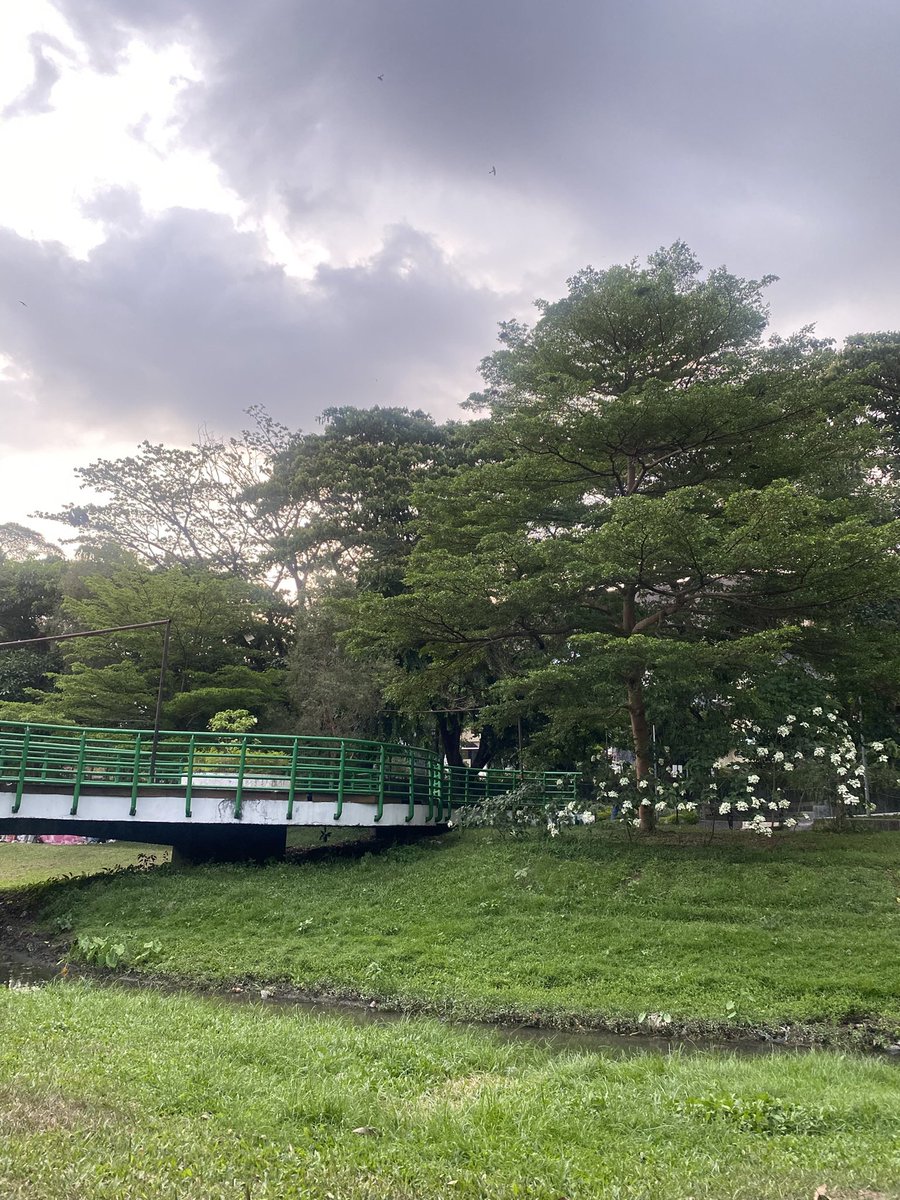 bleumeries's tweet image. visited!!! karena niatnya mau baca buku, jd ga banyak hunting bunga