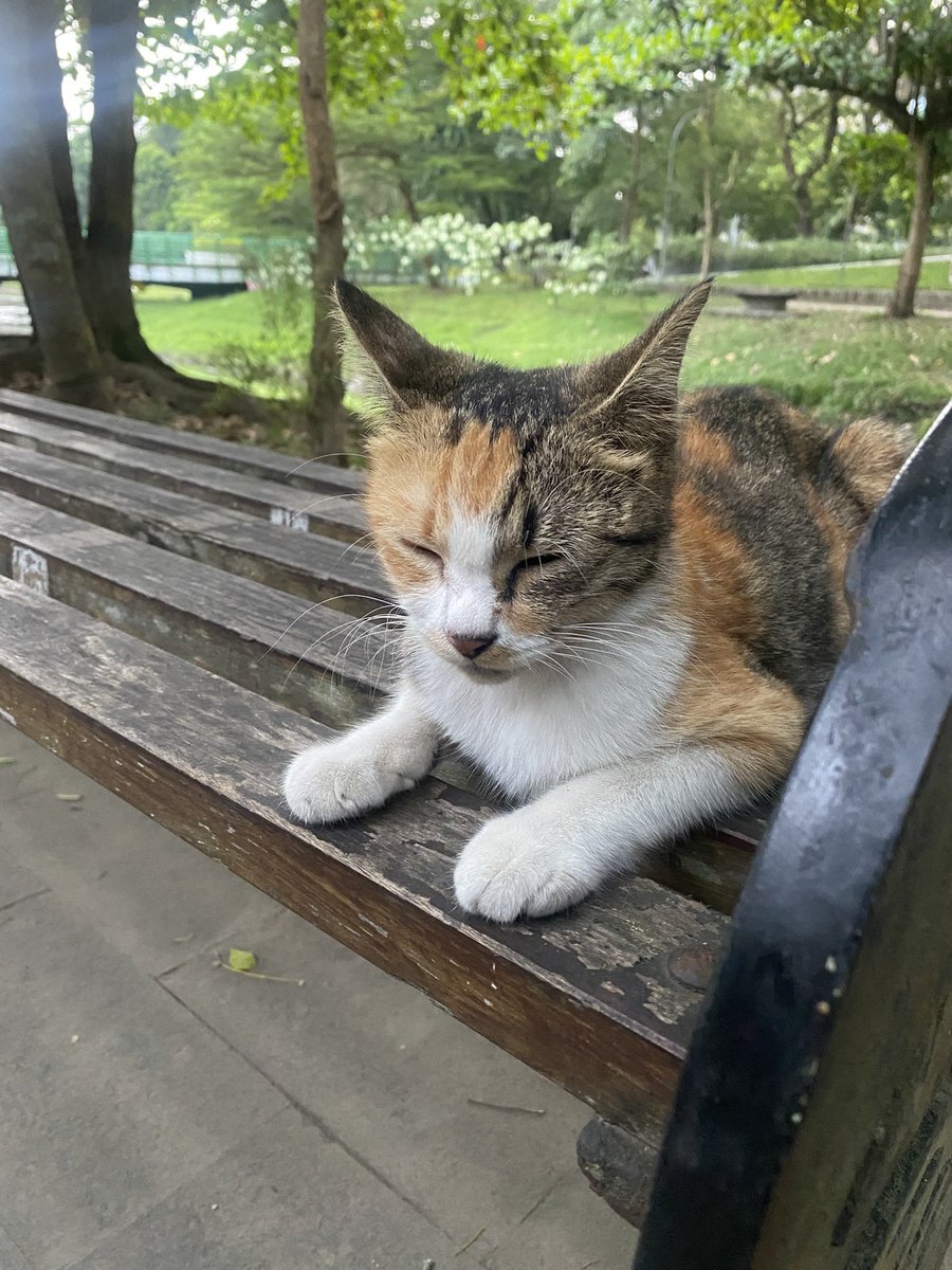 bleumeries's tweet image. visited!!! karena niatnya mau baca buku, jd ga banyak hunting bunga