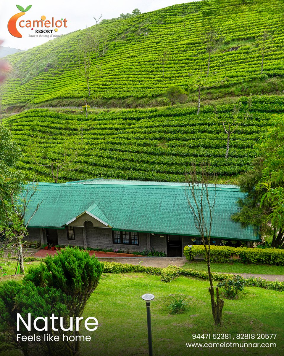 ResortCamelot's tweet image. Here, every sunrise feels magical, every stay feels homely, and every memory stays forever. ❤️Your perfect Munnar getaway begins with us! 🌺

Camelot Resorts Munnar
camelotmunnar.com
CALL US: +91 9447152381, +91 8281820577

#CamelotResortMunnar #MunnarResorts #NatureEscape