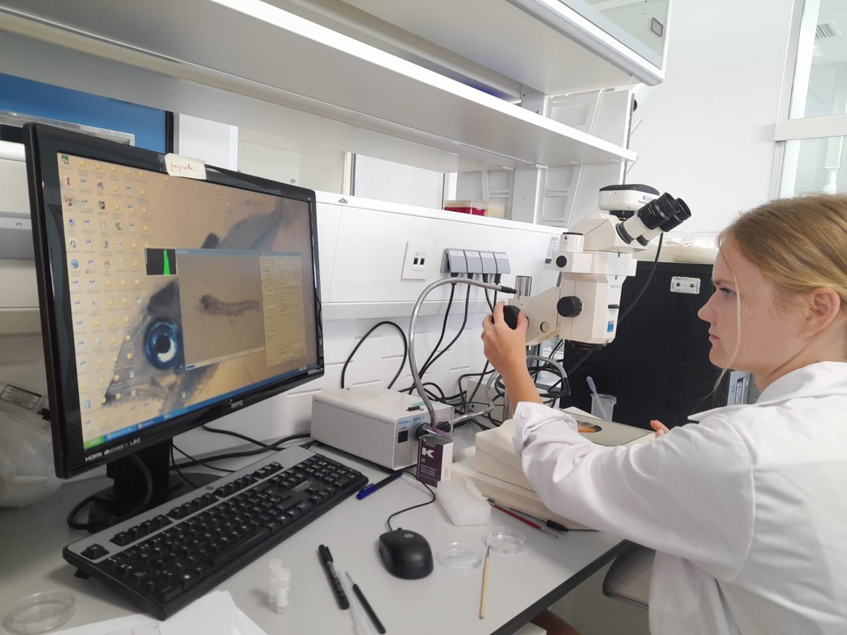 This summer, Agnieszka from the University of Gdańsk joined IEO Málaga for an Erasmus+ internship 🐟🔬. She worked with INDITUN samples, learning larval ecology &amp; analytical techniques, contributing to top predator early life research 🌊✨ More info: inditun.blogspot.com