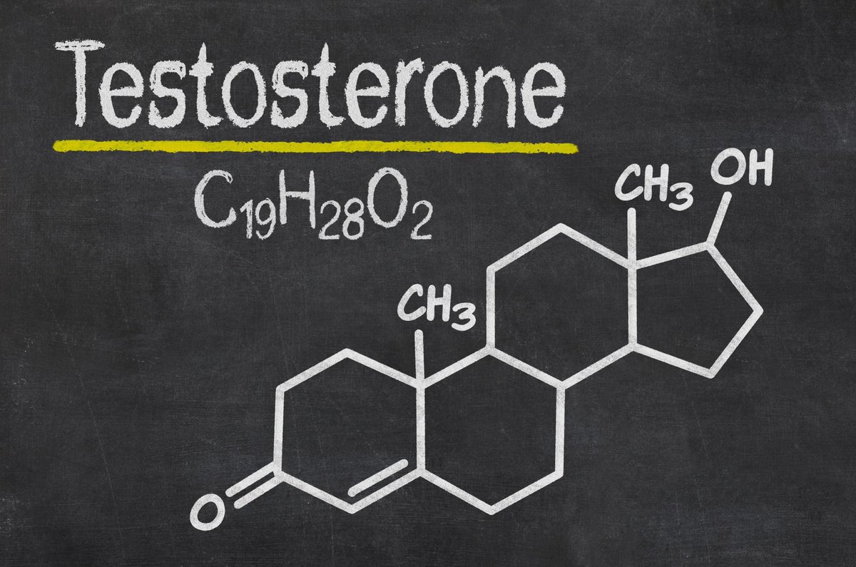 NewsMedical's tweet image. Boosting testosterone doesn&apos;t make men more likely to take risks or act unfairly, reveals the largest study of its kind. Longstanding stereotypes just got challenged. 🧬 Read more: news-medical.net/news/20250929/… #Testosterone #BehavioralScience