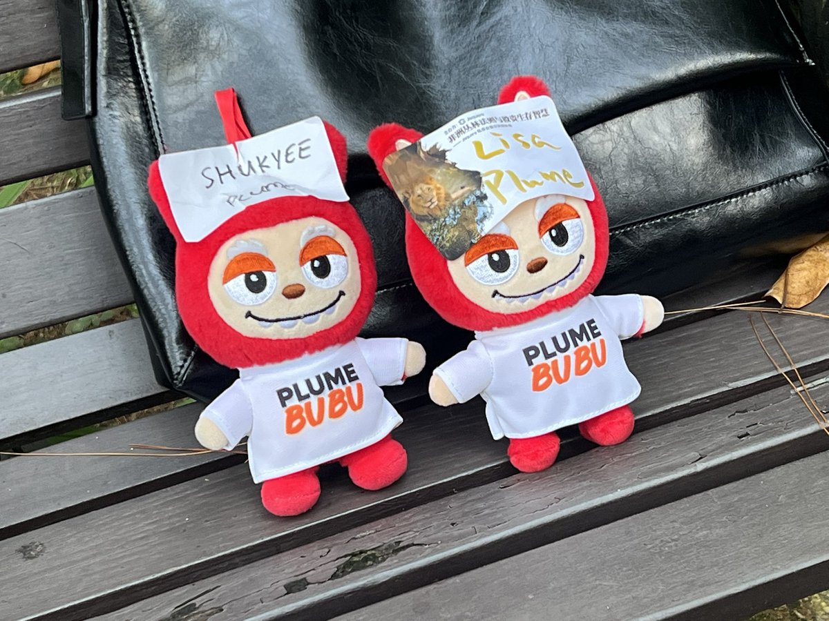 sasagoongooncat's tweet image. Shukyee Goonbubu chilling with @LisaX_bot10 Goonbubu

#token2049