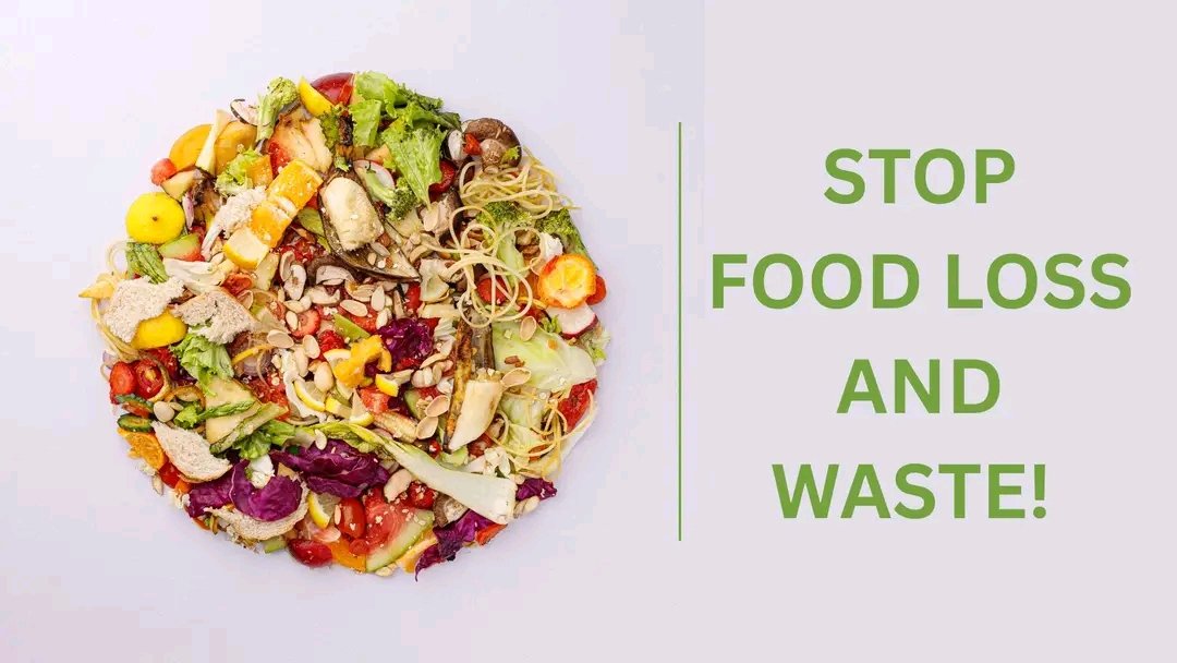 HarvestPlus Zimbabwe (@harvestpluszim) on Twitter photo Today is International Day of Awareness of Food Loss and Waste! ๐ฝ๏ธ In #Zimbabwe, <a href="/HarvestPlusZim/">HarvestPlus Zimbabwe</a> is helping reduce food loss through solar dryers, microprocessing & value addition of biofortified crops. Let's work together to ensure every harvest counts! Today is International Day of Awareness of Food Loss and Waste! ๐ฝ๏ธ In #Zimbabwe, <a href="/HarvestPlusZim/">HarvestPlus Zimbabwe</a> is helping reduce food loss through solar dryers, microprocessing & value addition of biofortified crops. Let's work together to ensure every harvest counts!