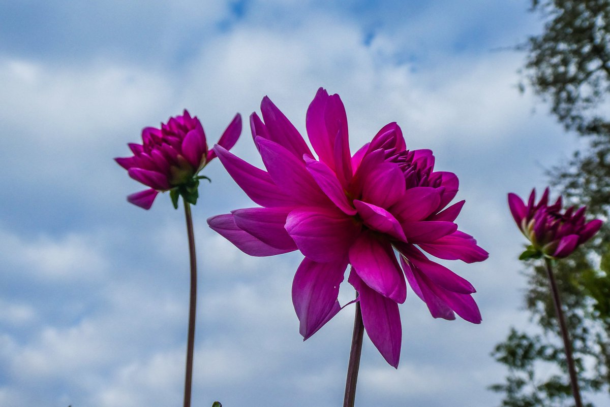 Good Monday 
Soon September will be over
#malmö #photofrommyheart