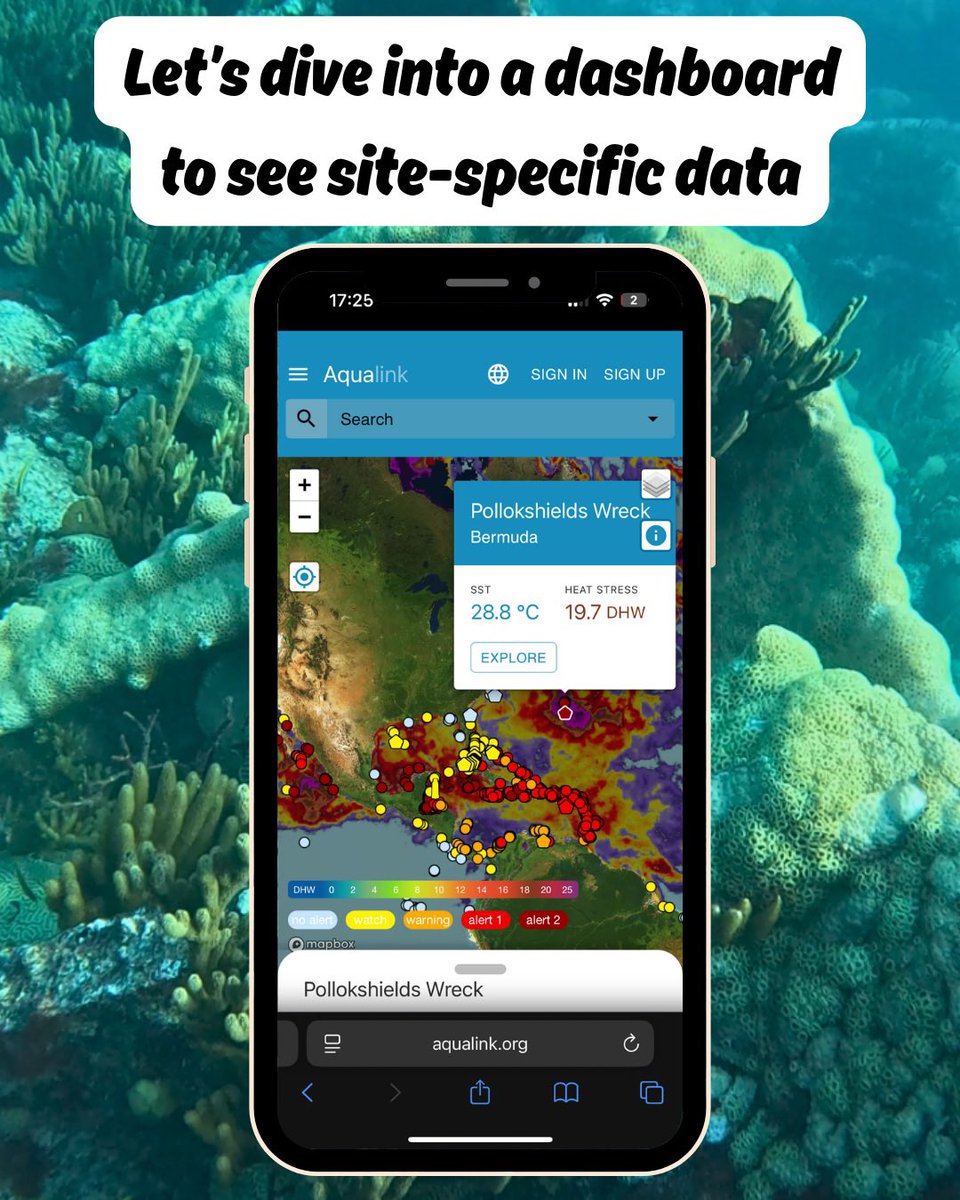 Aqualink tweet media