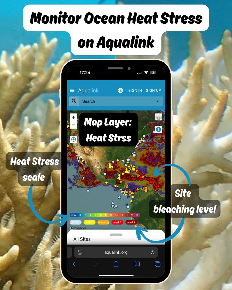 Aqualink tweet media
