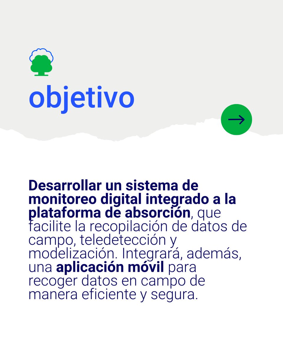 eco2for_fb's tweet image. En #eco2for estamos desarrollando una herramienta digital para seguimiento, reporte y verificación de proyectos de absorción de manera más sencilla, eficiente y precisa. ✅ Es la ACCIÓN 7 del proyecto, coordinada por @FCesefor y ejecutada por @CETEMAS. eco2for.com/acciones/