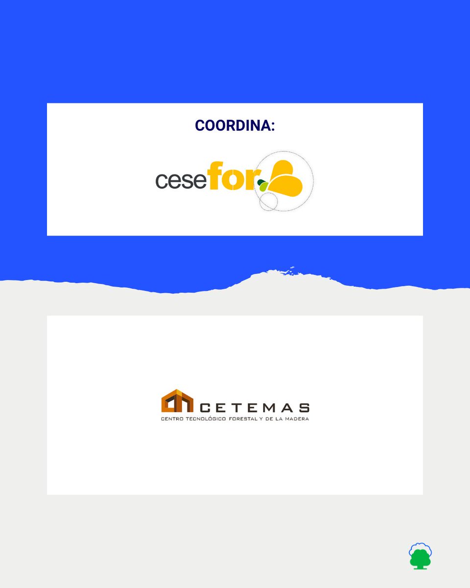eco2for_fb's tweet image. En #eco2for estamos desarrollando una herramienta digital para seguimiento, reporte y verificación de proyectos de absorción de manera más sencilla, eficiente y precisa. ✅ Es la ACCIÓN 7 del proyecto, coordinada por @FCesefor y ejecutada por @CETEMAS. eco2for.com/acciones/