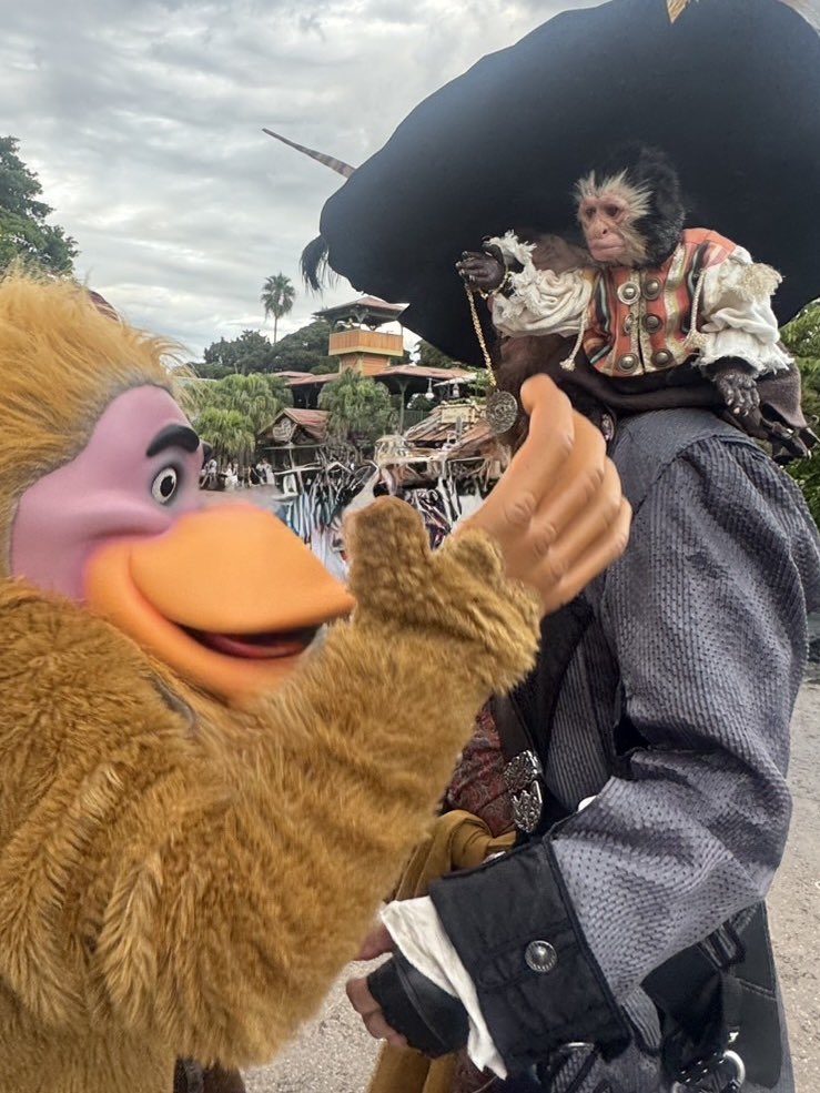 barbossa_828's tweet photo. jack!
いくら金貨をチラつかせたって
お猿さんにはわからないぞ🪙

#Dハロ仮装2025 
#ディズニーランド 
#パイレーツオブカリビアン 
#barbossa
#ジャックスパロウ https://t.co/tt81mhitFL