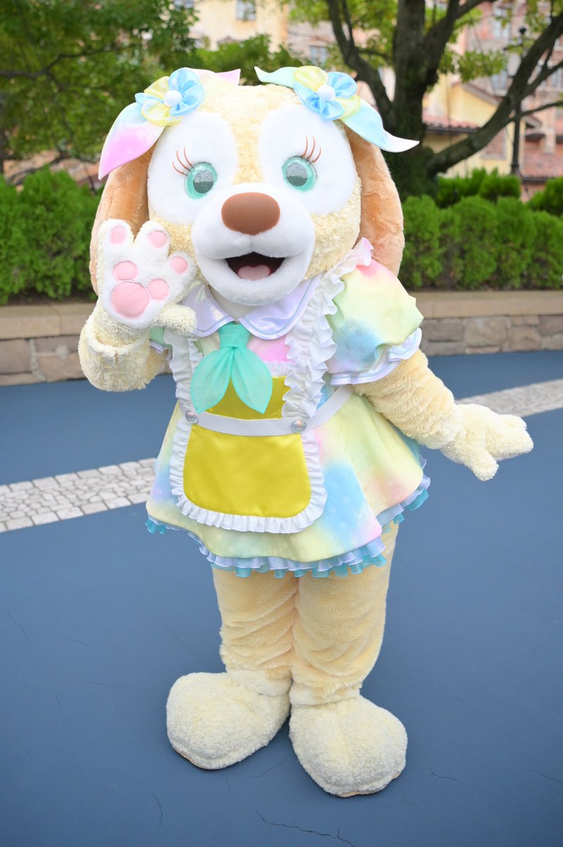 ⓣⓞⓜⓞⓩⓞ🧸🎀 (@S_kumachan_122) / Posts / X