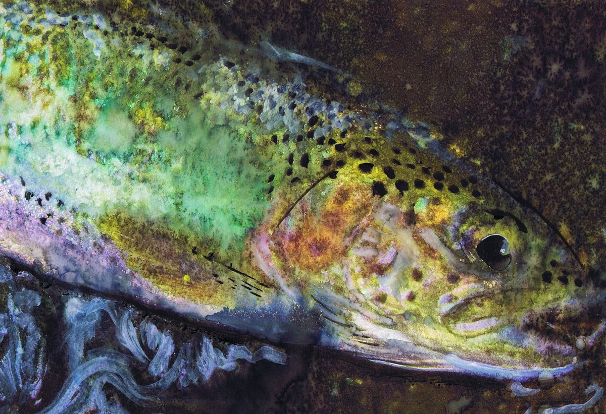 River Glow – Trout Mixed Media Fly Fishing Art Print by Jack Tarpon dogfishart.com/products/river… #OscarJetson #painting #FishingGift