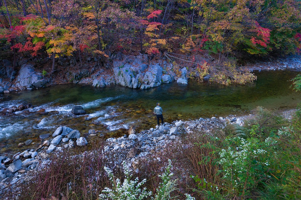 5 Great Destinations for Fall Fishing in North America – Foundry Outdoors