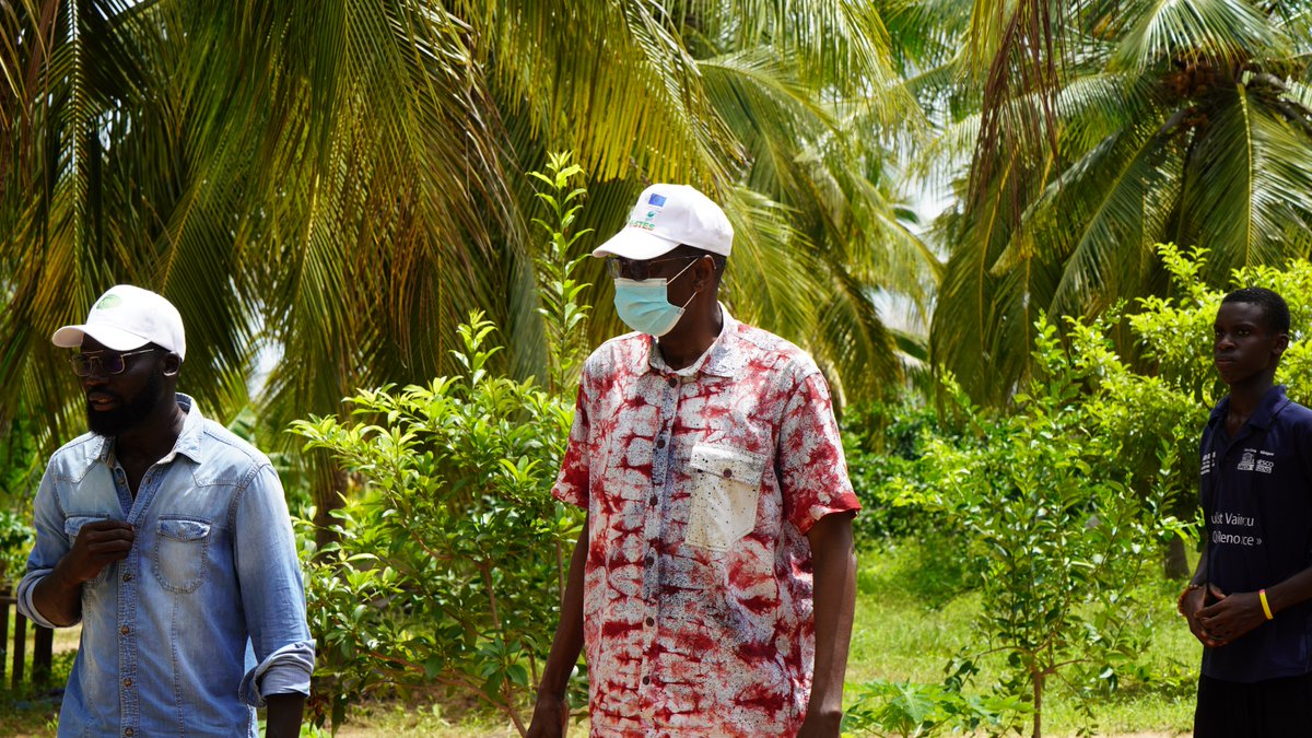 FAOSenegal's tweet image. 📍Fatick, Louga|🗓️22 au 26 sept.
Mission de supervision de #RIPOSTES avec @IrlEmbDakar dans le cadre du projet PVA-Résilience
Visite inspirante à la ferme agroécologique Kaydara et rencontre avec les incubés via le protocole FAO–Jardins d’Afrique 🌿!