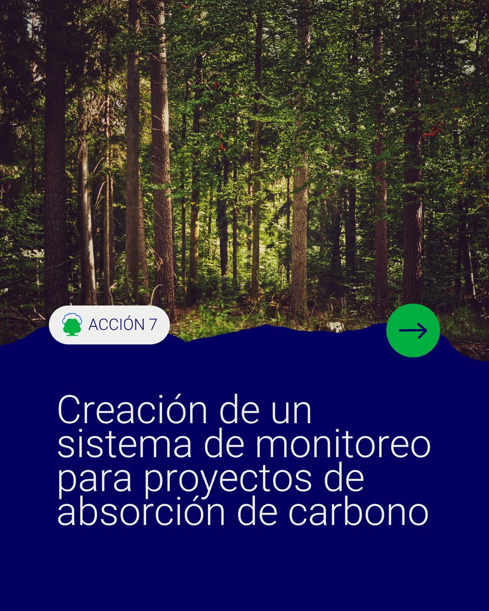 eco2for_fb's tweet image. En #eco2for estamos desarrollando una herramienta digital para seguimiento, reporte y verificación de proyectos de absorción de manera más sencilla, eficiente y precisa. ✅ Es la ACCIÓN 7 del proyecto, coordinada por @FCesefor y ejecutada por @CETEMAS. eco2for.com/acciones/