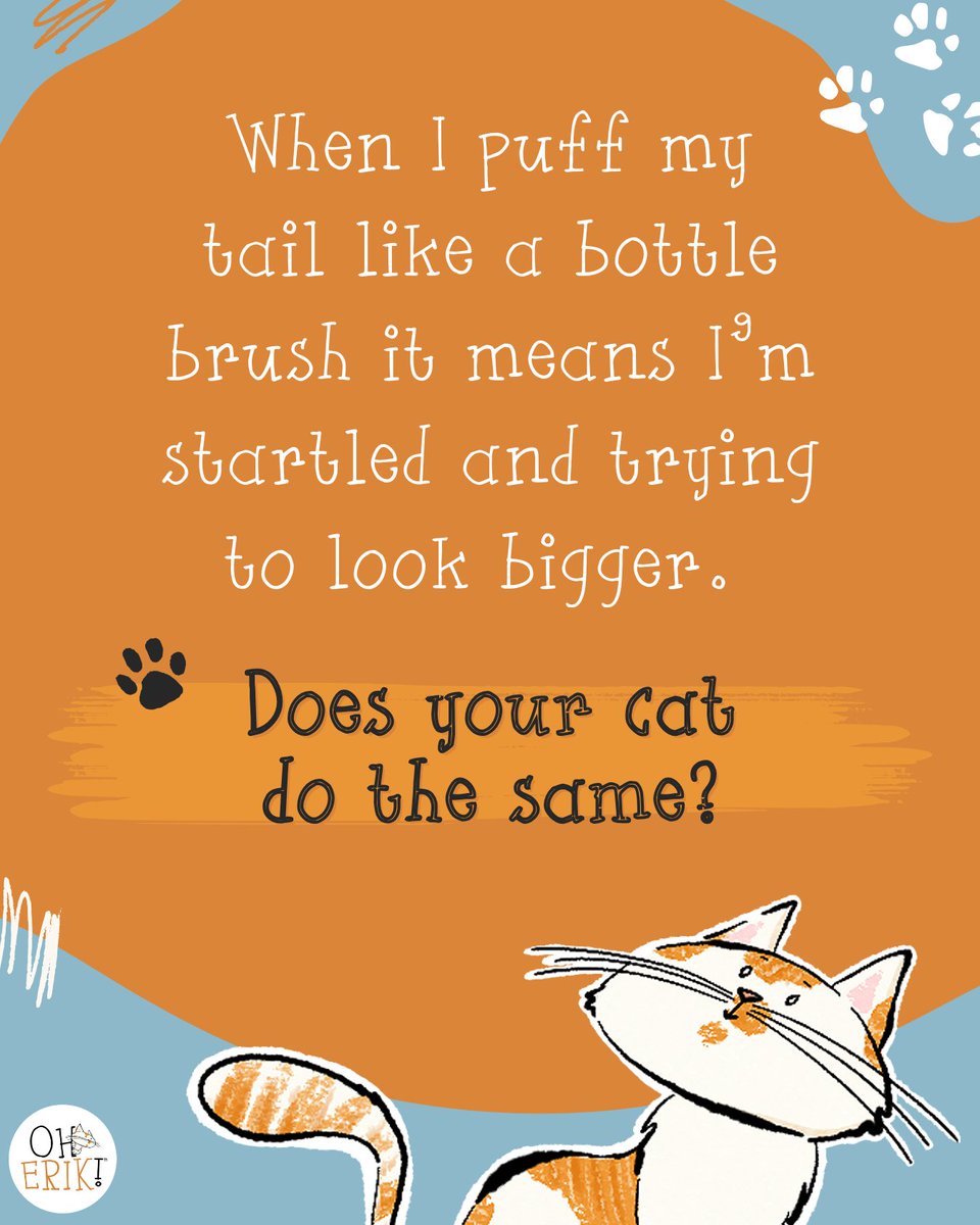 When I puff my tail like a bottle brush it means I’m startled and trying to look bigger. Does your cat do the same?