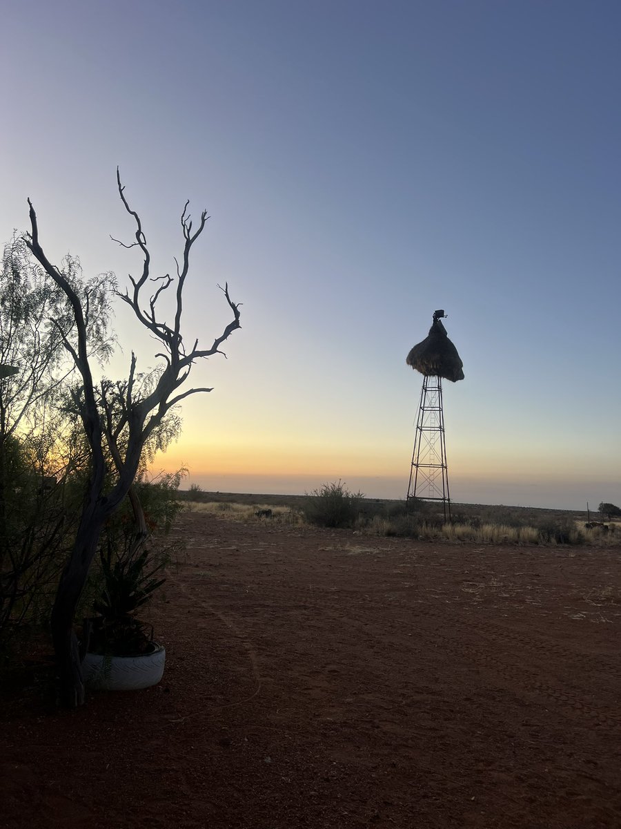 Surethaplaas's tweet photo. Last night ….. what a week…. Dankbaar dankbaar #ougeelkop #plaas #gasteplaas #guestfarm #withlove #soulmusic #photography https://t.co/7Wz4OgMasz