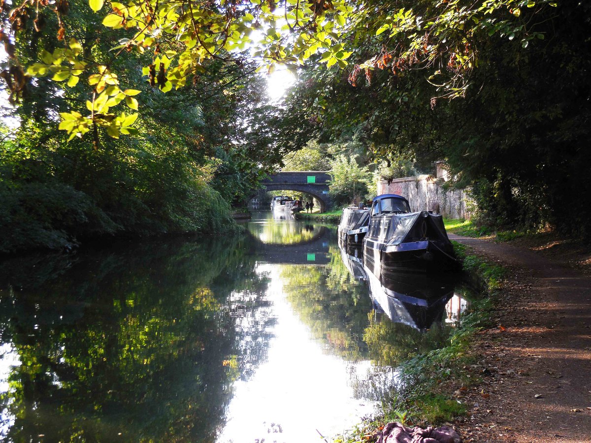 retired_tom's tweet photo. My photos from #September 2019
#CanalRiverTrust #GrandUnionCanal #HuntonBridge #Lock #Bridge #Narrowboat #Reflections
#Canals & #Waterways can provide #Peace & #calm for your own #Wellbeing #Lifesbetterbywater #KeepCanalsAlive https://t.co/AL3kCX2v65