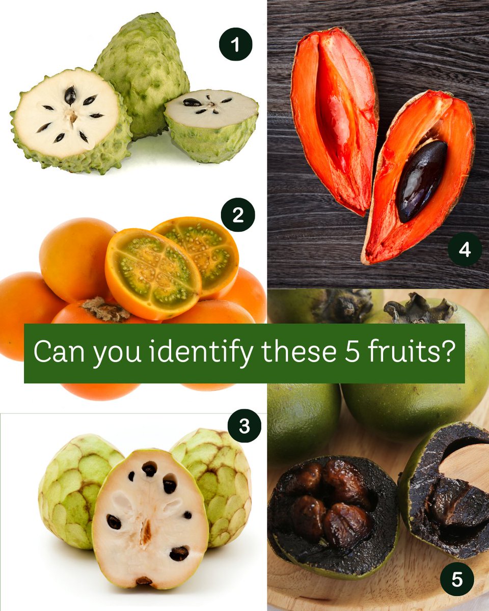 LAHIDAN MIG tweet media