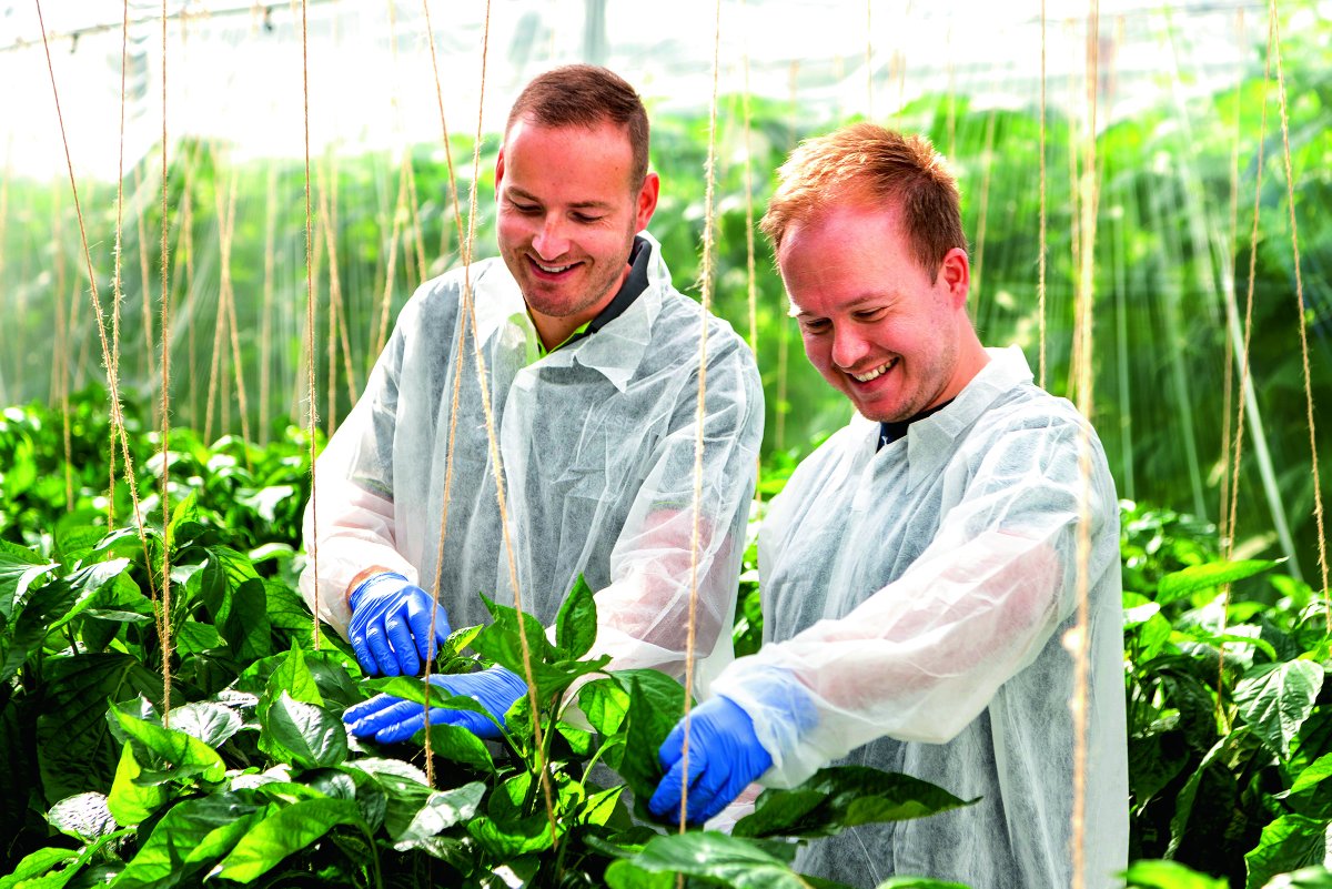 BASF Agro Nederland tweet media