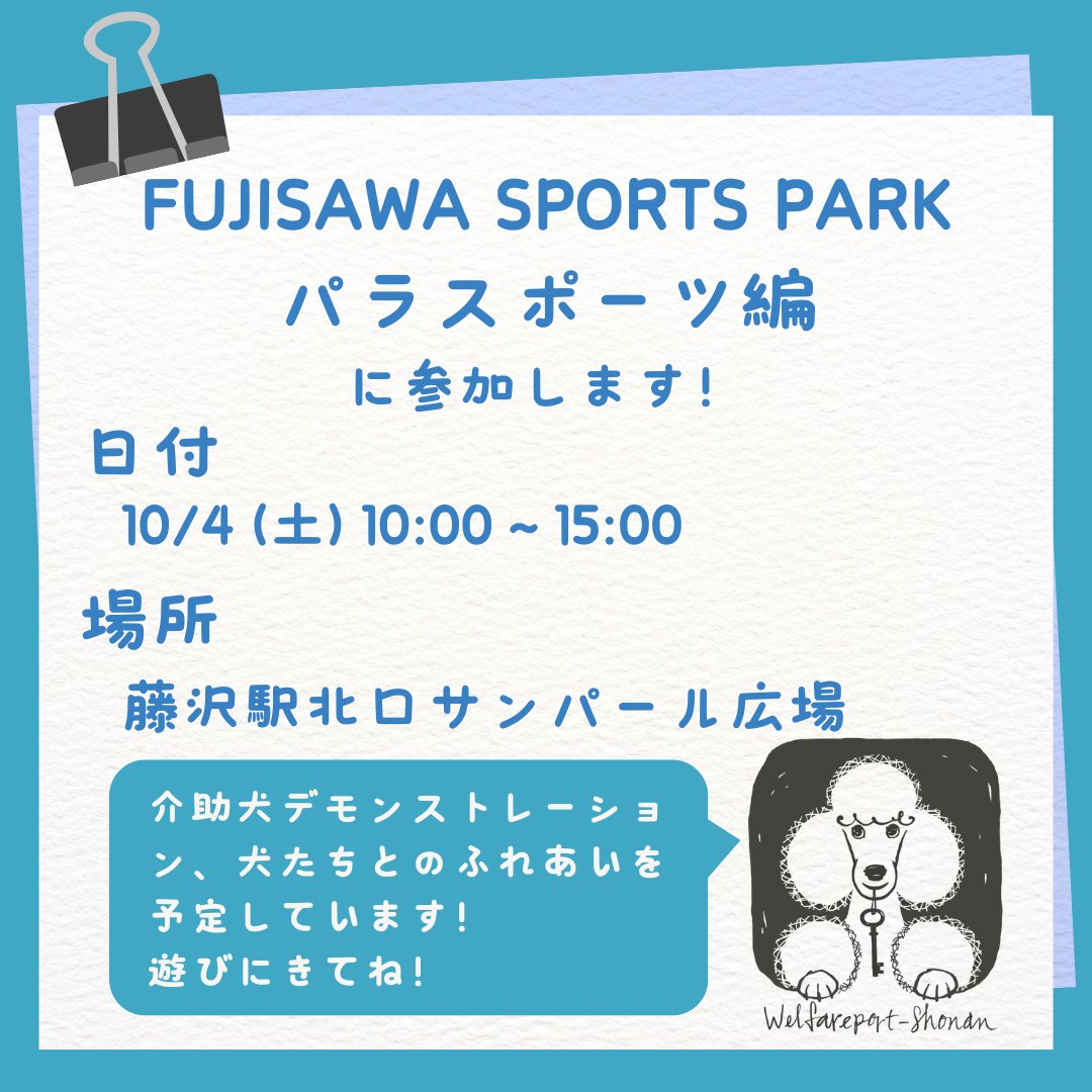 WPS_serviceDOG's tweet photo. 10/4（土）藤沢駅北口サンパール広場にて開催される「FUJISAWA SPORTS PARK パラスポーツ編」に参加します。
https://t.co/B0IGyfwXQh

元介助犬や聴導犬、エモーショナルサポートドッグを目指す犬たちとふれあうことができます！お時間ある方は是非遊びに来てください。 https://t.co/p4Ae9KDAAN