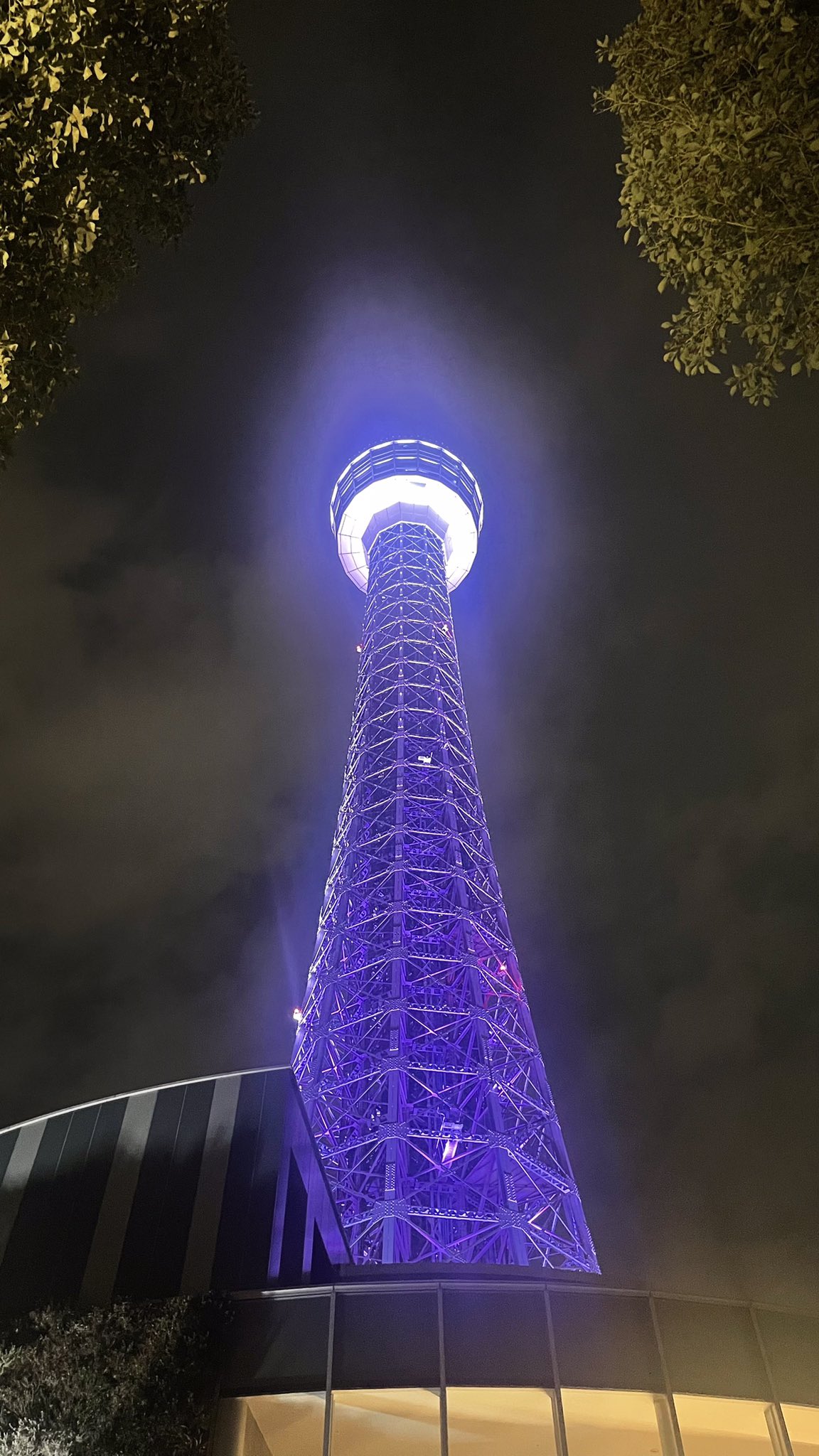 ラベンダー (@_yasashiku0929) / X