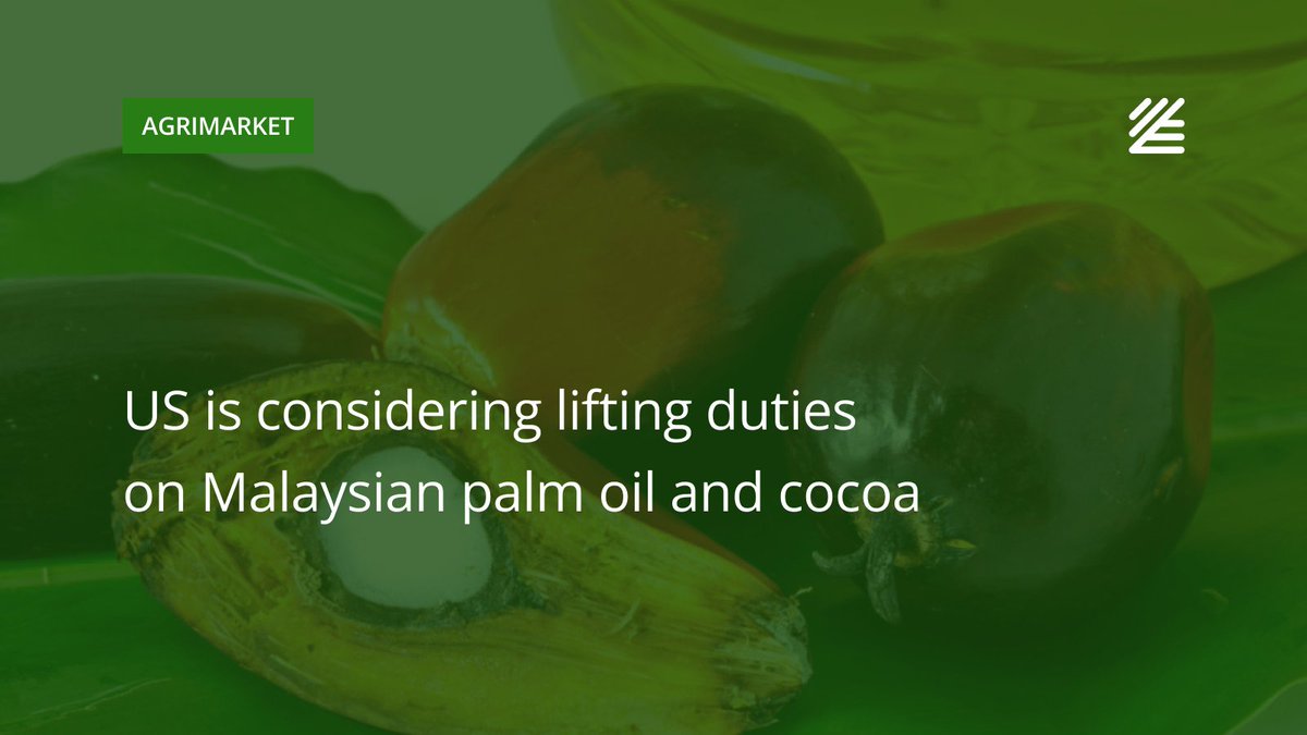 UkrAgroConsult's tweet image. 🇺🇸🇲🇾 #US is considering lifting #duties on #Malaysian #palm_oil and #cocoa

Washington is ready to set zero rates for products that are not manufactured in the United States.

Read more 👉surl.li/ydkbwp