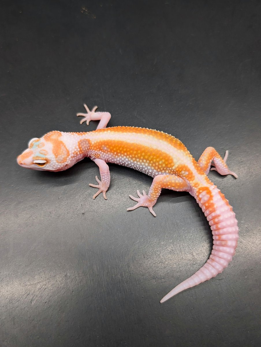 sige2324's tweet image. メリハリ！！