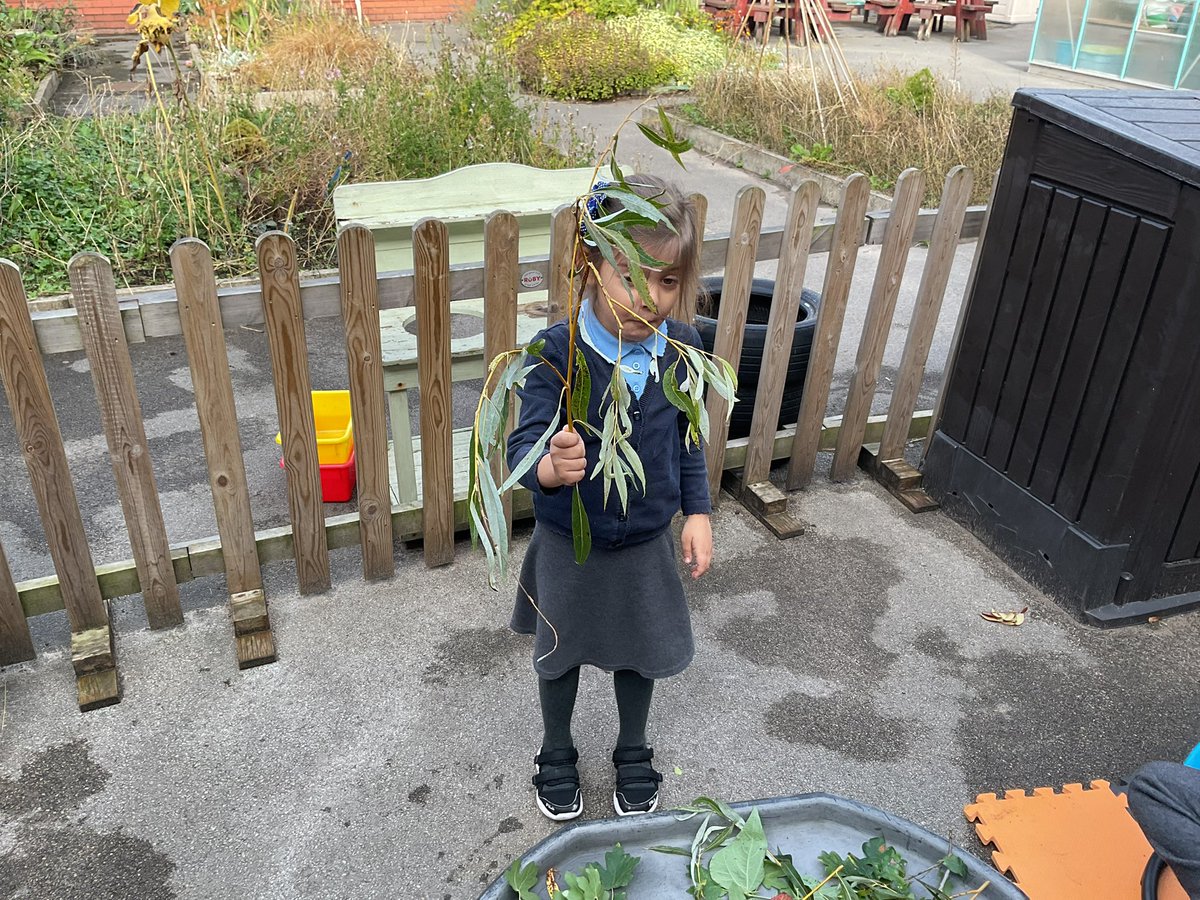 MrsES_Thatto's tweet photo. Enjoying investigating leaves of all shapes, sizes and colours  this morning. #ThattoPrim_Butterflies https://t.co/1AruAjHOLM