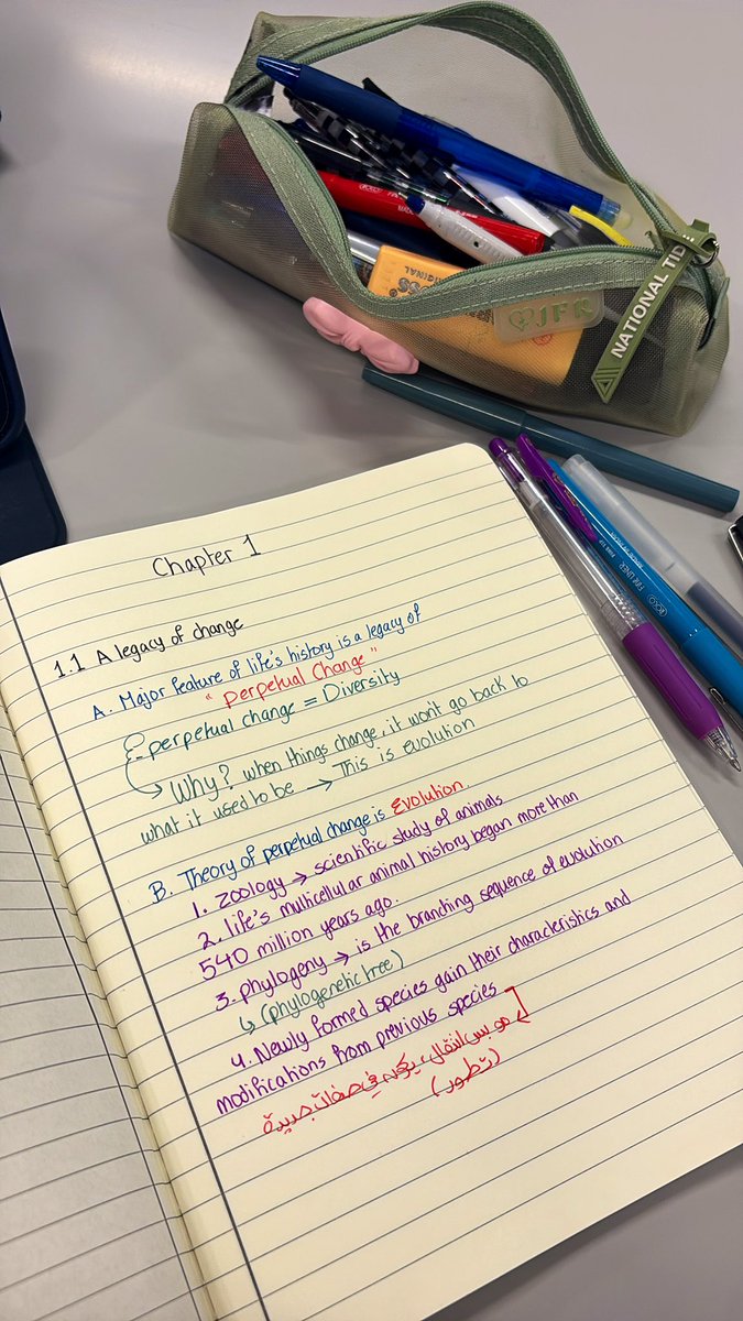 Chordates🦎🐍🐸🐥🐠🦍