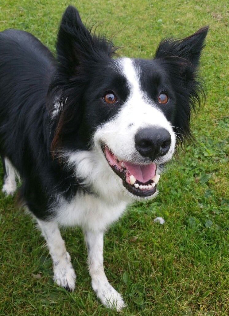 wolfb3ck's tweet image. how i feel knowing i'm that 'one friend who's too woke'