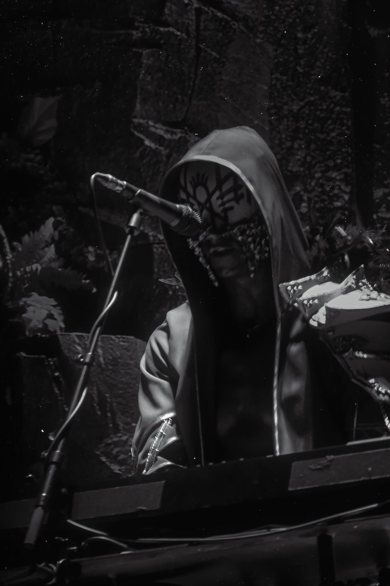 alina 📷 tweet media