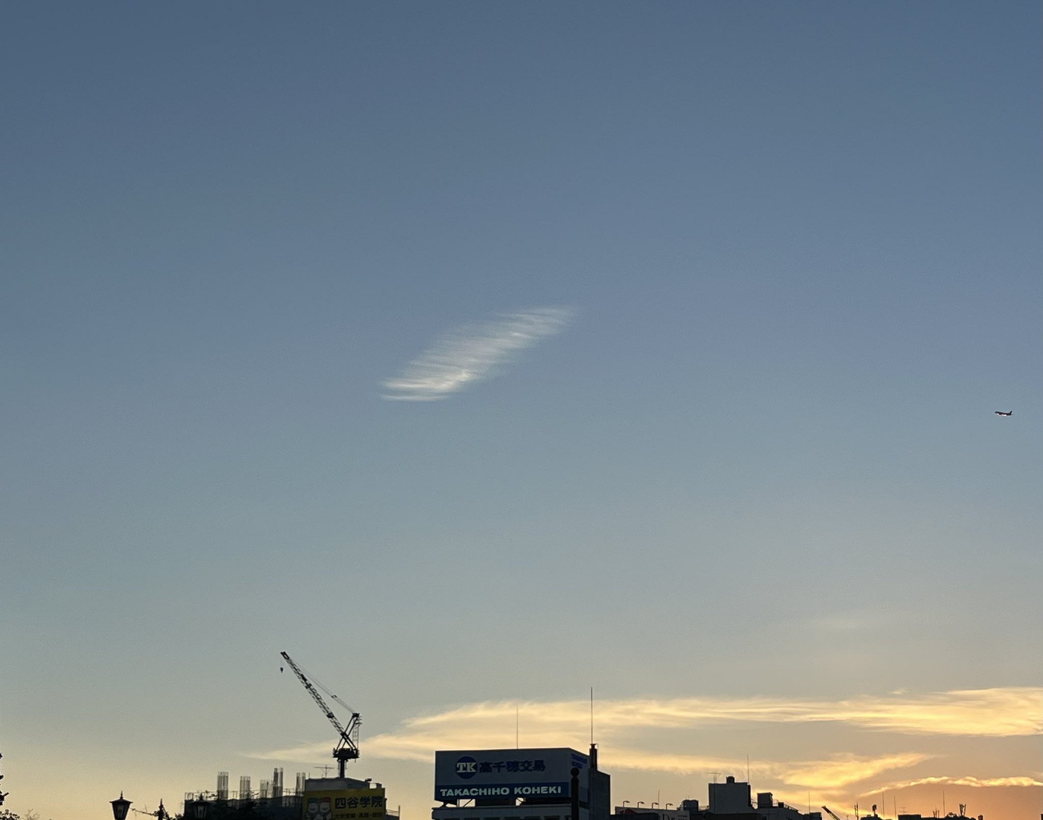 イカです⭐︎ Amazon.com: ForeverPRO WD21X10490 Latch Tub Side Standard