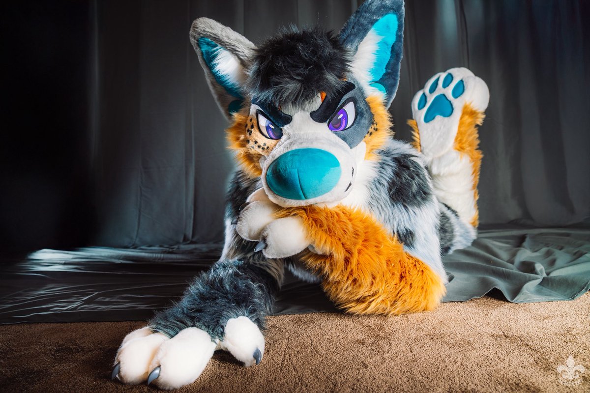 foxeuphoria's tweet image. 🐾 Hey, I’m Avery! 🐾

Adventurer • Cinematographer • Coffee Gremlin (@Sacred_Beans_Co)

I bring two pups to life:
✨ Avery – Australian Shepherd
✨ Finn – Long Haired Dalmatian

You’ll find me traveling, filming, brewing coffee and suiting up for furry fun + shenanigans!