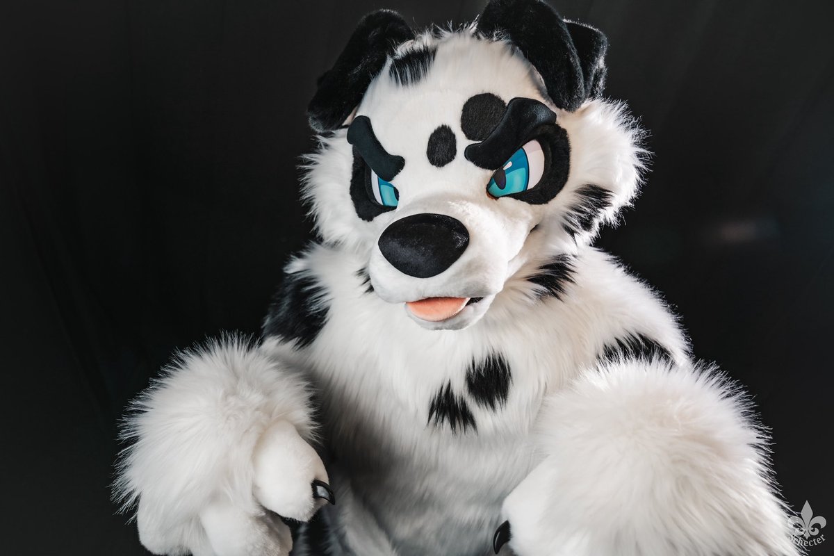 foxeuphoria's tweet image. 🐾 Hey, I’m Avery! 🐾

Adventurer • Cinematographer • Coffee Gremlin (@Sacred_Beans_Co)

I bring two pups to life:
✨ Avery – Australian Shepherd
✨ Finn – Long Haired Dalmatian

You’ll find me traveling, filming, brewing coffee and suiting up for furry fun + shenanigans!