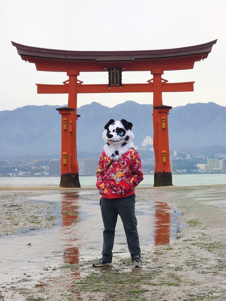 foxeuphoria's tweet image. 🐾 Hey, I’m Avery! 🐾

Adventurer • Cinematographer • Coffee Gremlin (@Sacred_Beans_Co)

I bring two pups to life:
✨ Avery – Australian Shepherd
✨ Finn – Long Haired Dalmatian

You’ll find me traveling, filming, brewing coffee and suiting up for furry fun + shenanigans!