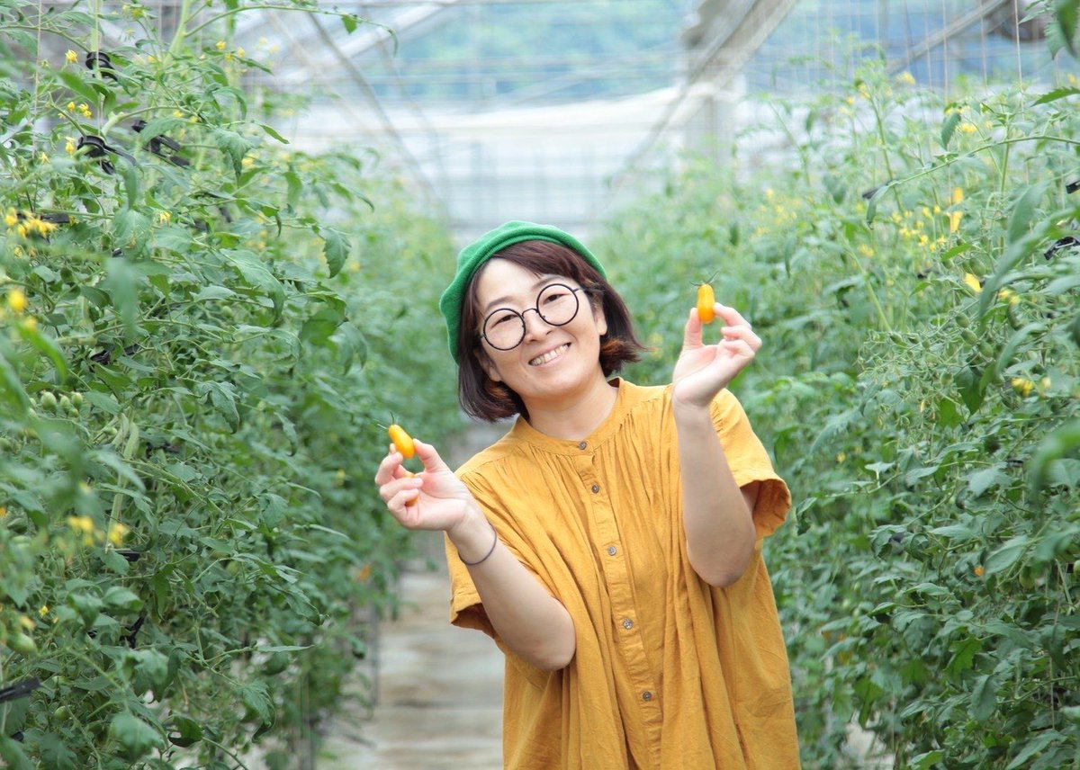 【ごとう農園さんからの特別な贈り物🍅】
<a href="/norikonbu510/">🟡黄色いトマトはごとう農園🟡@のりこんぶ🍅静岡</a> 

静岡・ごとう農園さんが、愛情いっぱいに育てたフルーツトマト3種とミニトマト。
このトマトで作ったオリジナルケチャップを  #踊ハロ のためにたくさんご提供いただきました✨

当日は、このケチャップをたっぷりかけて