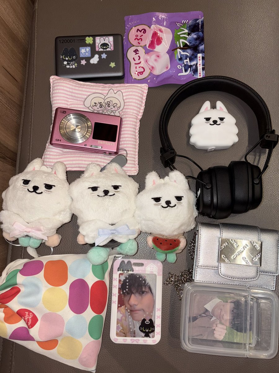cruelcatt's tweet photo. what’s in my bag 🧳🍇 ✩ ͙˚˖ https://t.co/XoI98clTMC