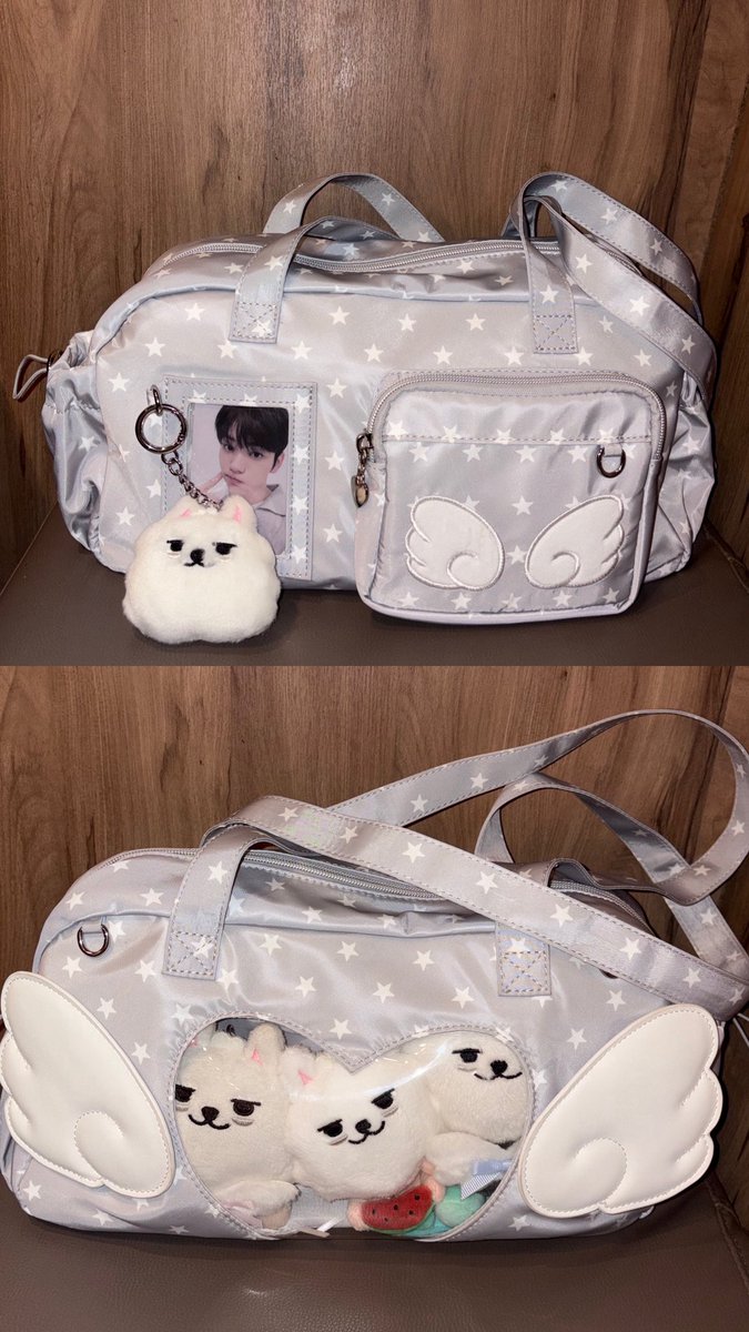 what’s in my bag 🧳🍇 ✩ ͙˚˖