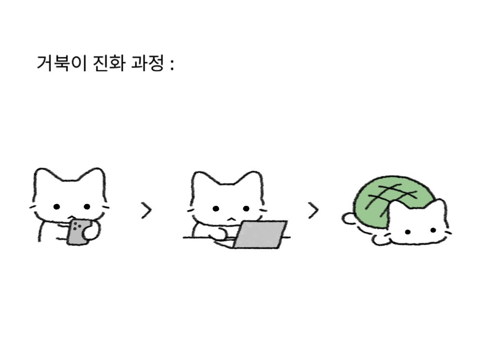 냥부기 진화 과정