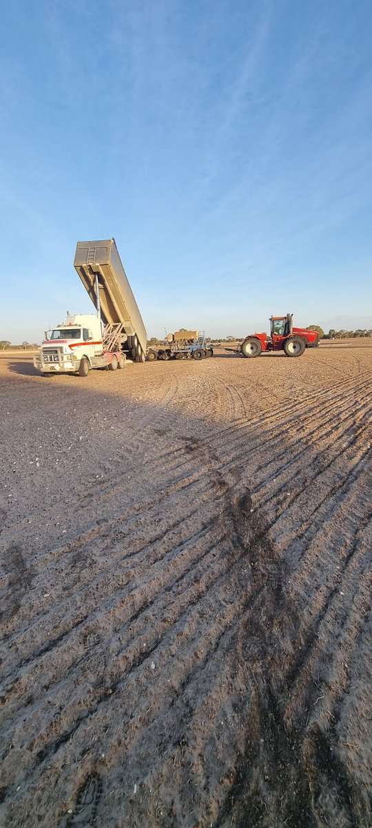 Michael Hunt tweet media