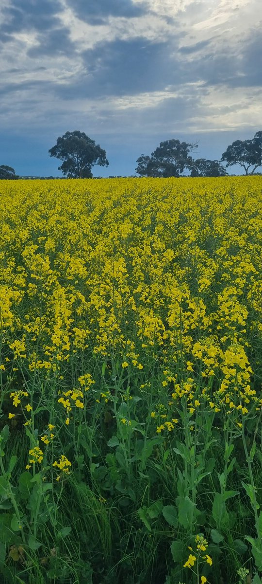 Michael Hunt tweet media