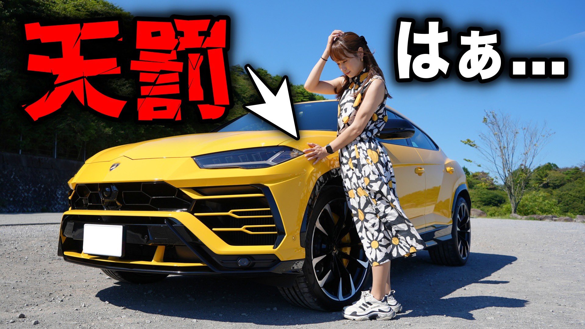 あま猫🐈YouTube (@amanecco_cars) / X