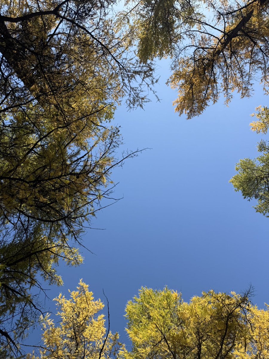 Сайхан намар