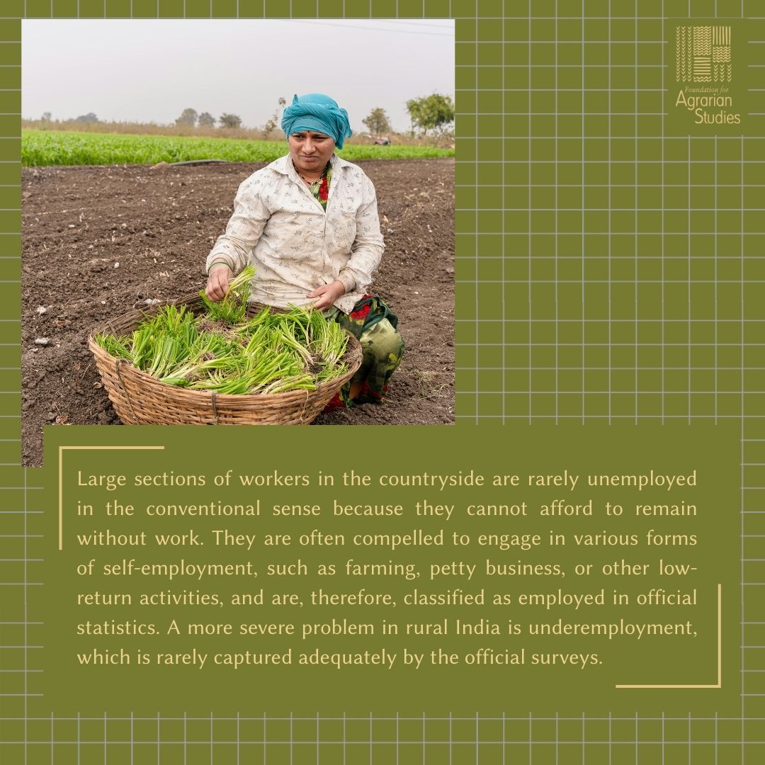 fasagristudies's tweet image. As part of our explainer series in the lead-up to the Conference on Agrarian Change, we are sharing short notes on key concepts around rural transformation.

Our third concept is #underemployment — a more severe issue than unemployment in the context of rural India, yet one that…