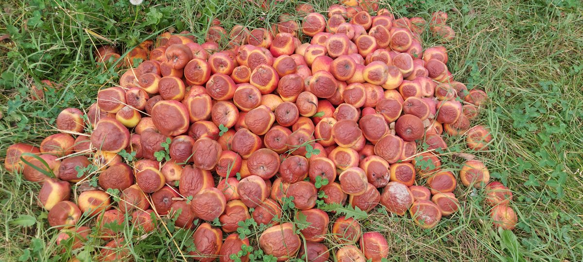 Artist✒️ tweet media