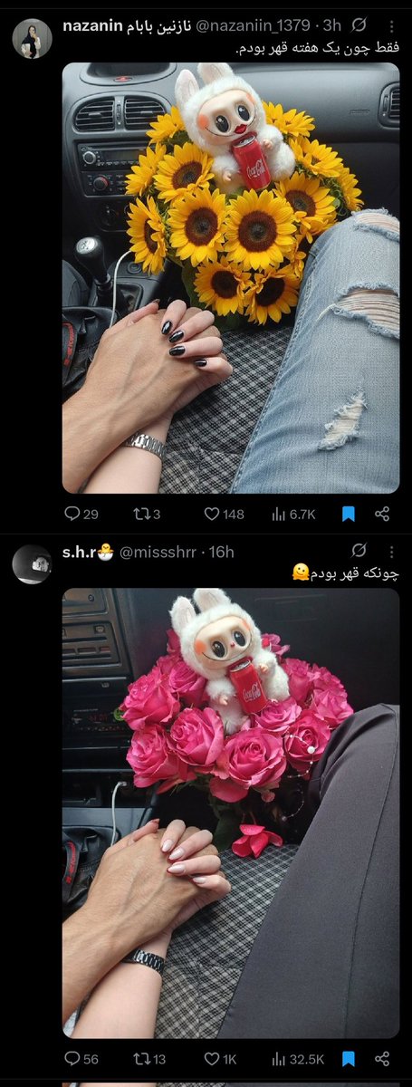 Fe-male🚀 tweet media